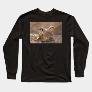 Yawning, not snarling - Meerkats stand guard Long Sleeve T-Shirt